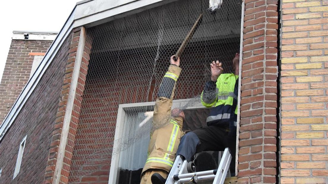 De brandweer heeft een duif gered (Rechten: Van Oost Media)