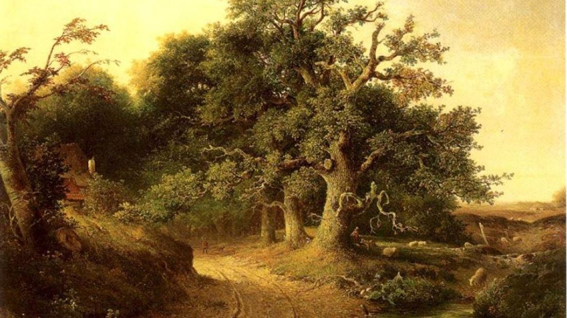 Wodanseiken bij Wolfheze door Jacob Jan Cremer
