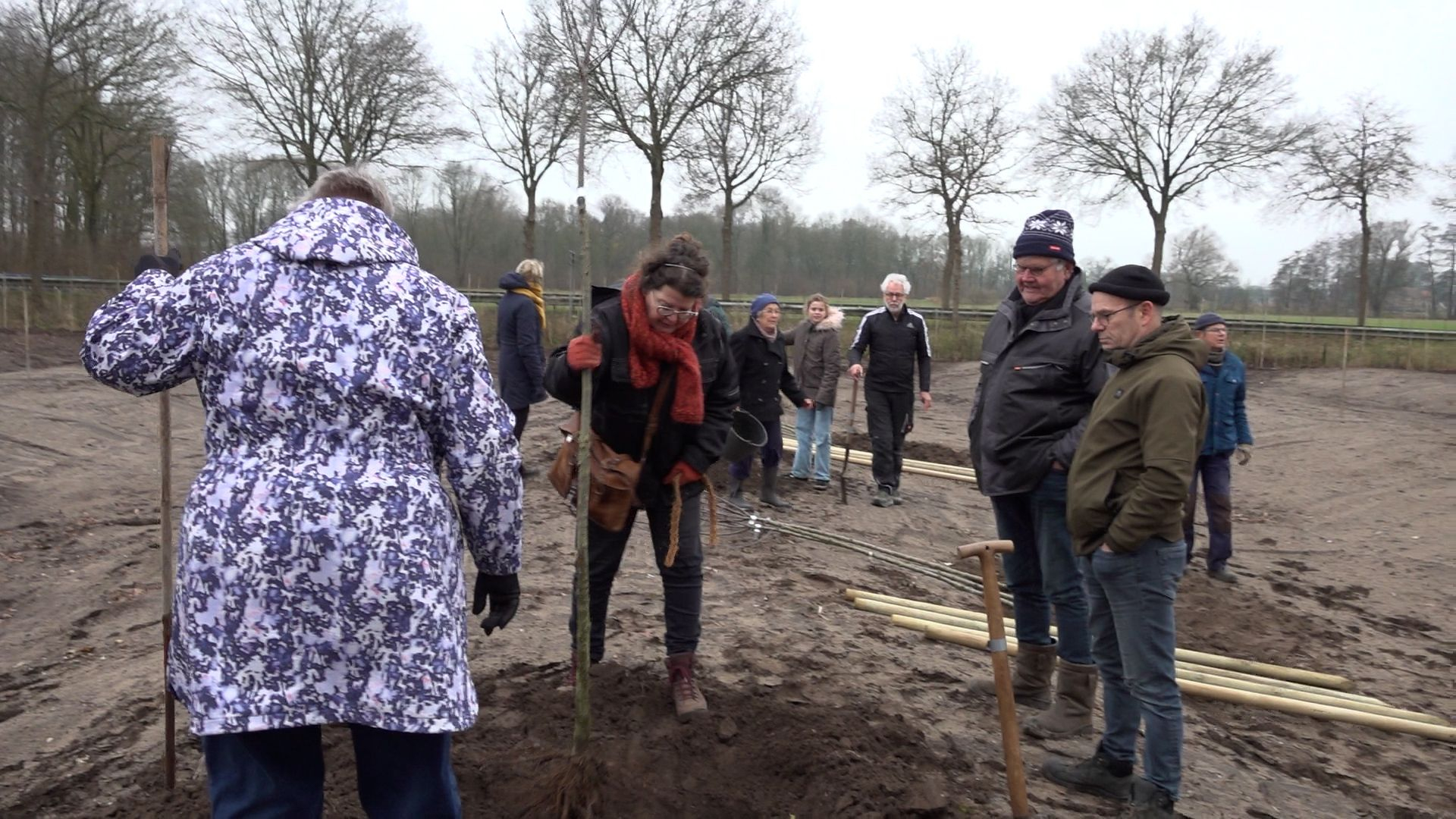 Nageboorte van koe op het voedselbos, Achterhoekse traditie voor mooiere oogst