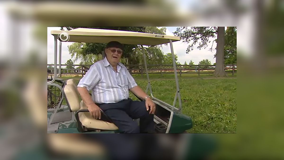 Godfather van het Friese paard, Harry Witteveen (94), overleden