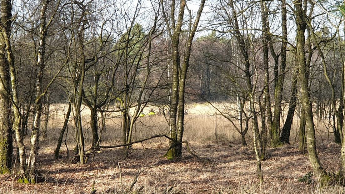 Zoekactie in natuurgebied bij Enschede