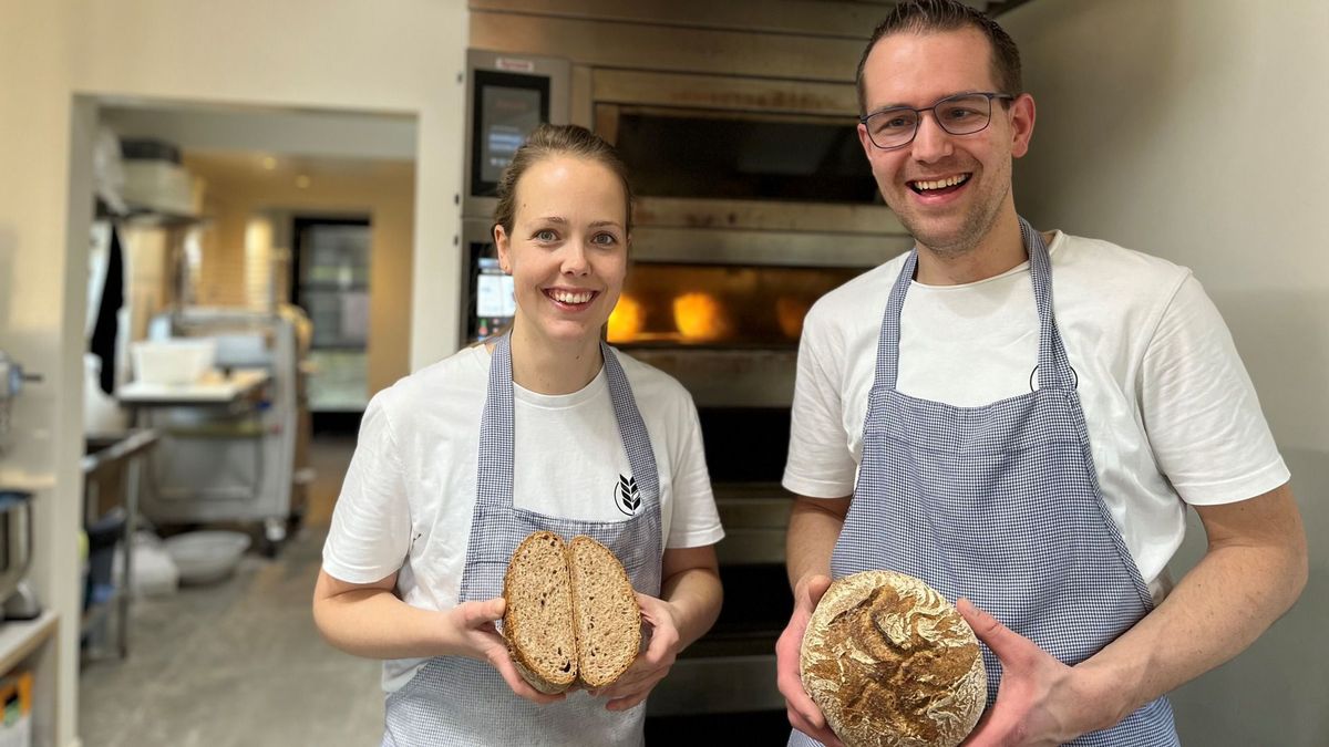 Eeuwenoude tarwe wordt 'mennobôle' in Witmarsum