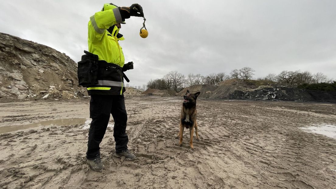 De training in Nederland is weer hervat