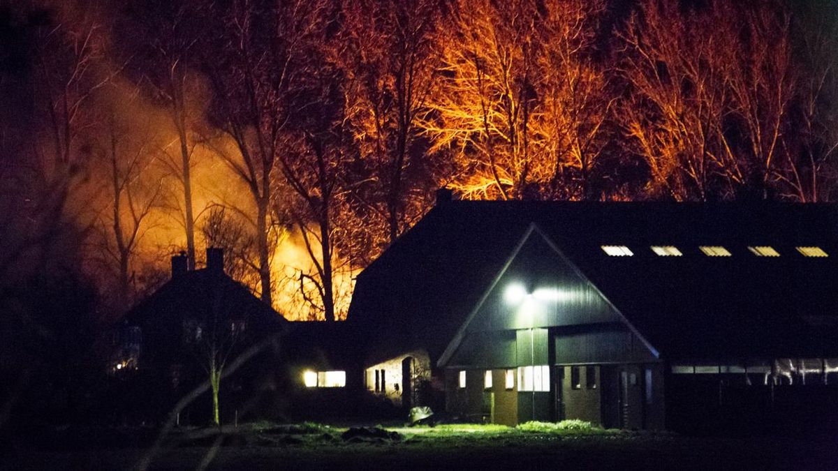 Rechtbankverslaggever: 'Het is vooral een hele trieste zaak'