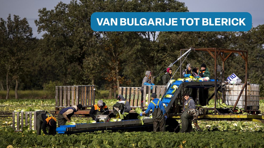 Voorpagina De Volkskrant