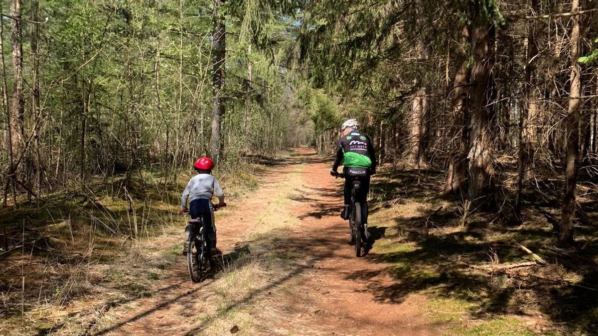 Rechter: streep door aanleg singletracks mountainbikeroute Vledder