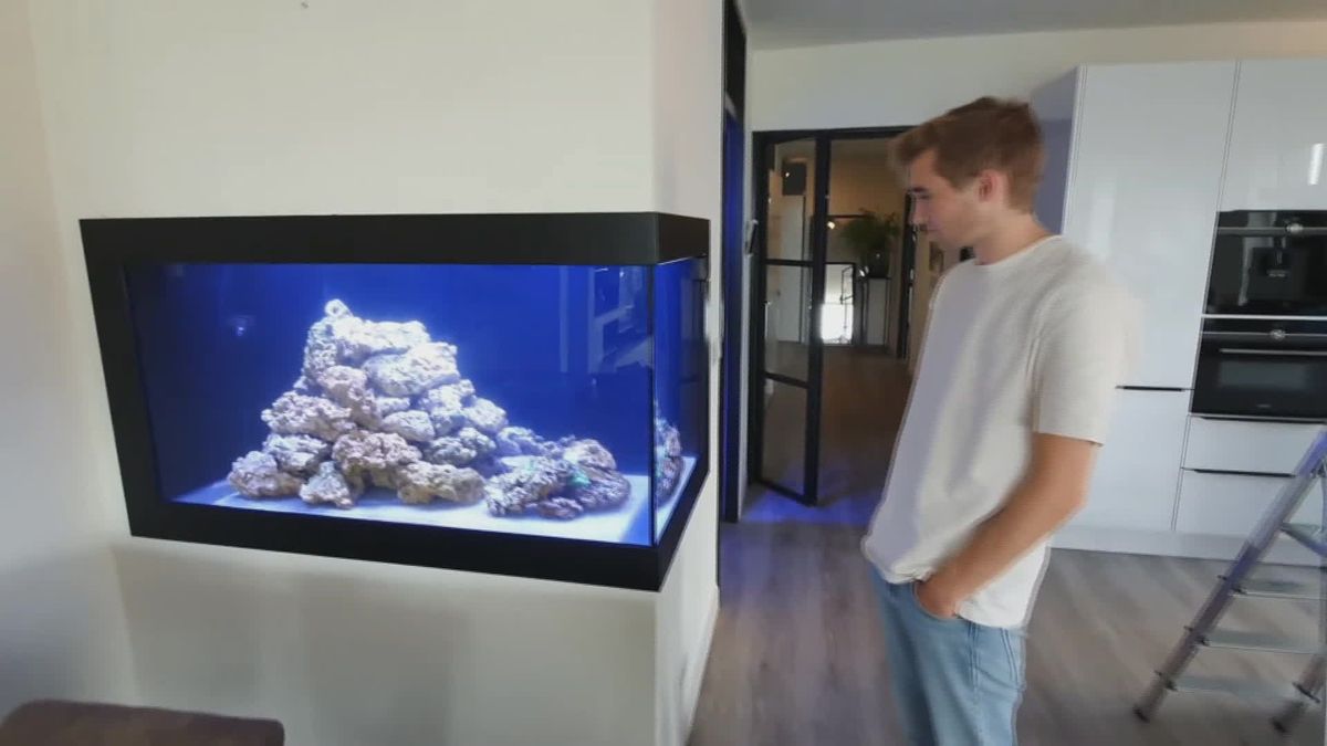 Aquarium handelaar Bjorn Schuiling opent nieuwe zaak Aquadeco in Almelo