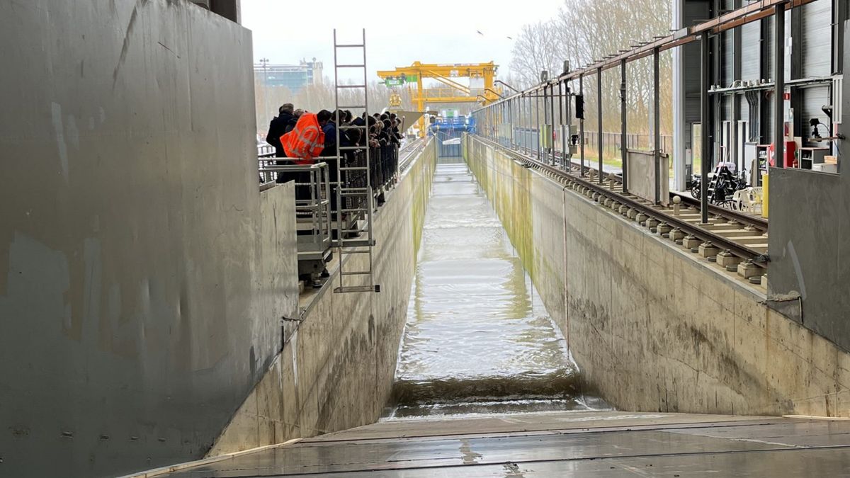 Kwelder uit Peazens in een wetenschappelijk golfslagbad: 