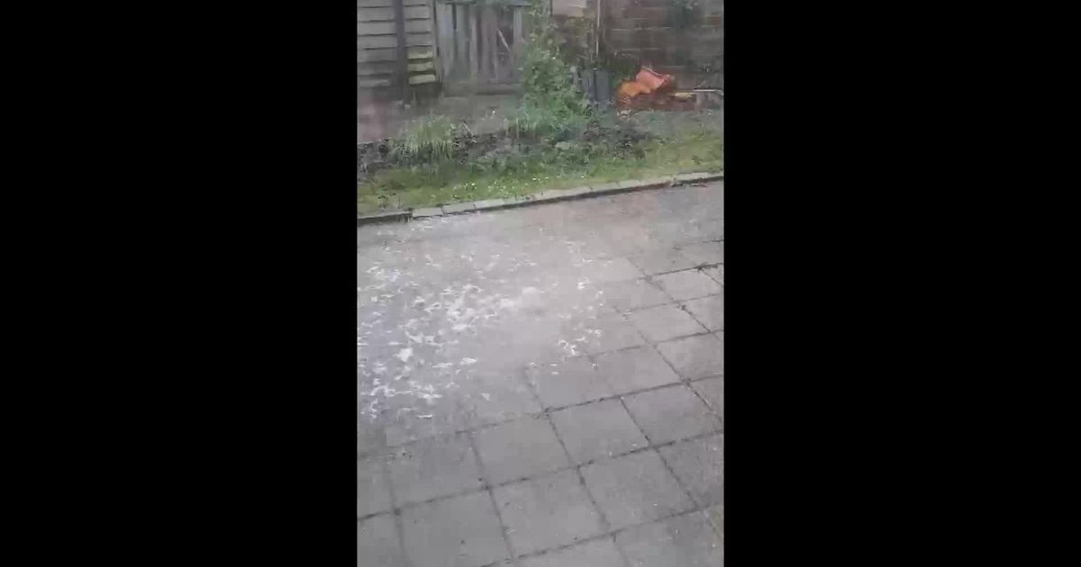Afvoerputje loopt over in de tuin - RTV Noord
