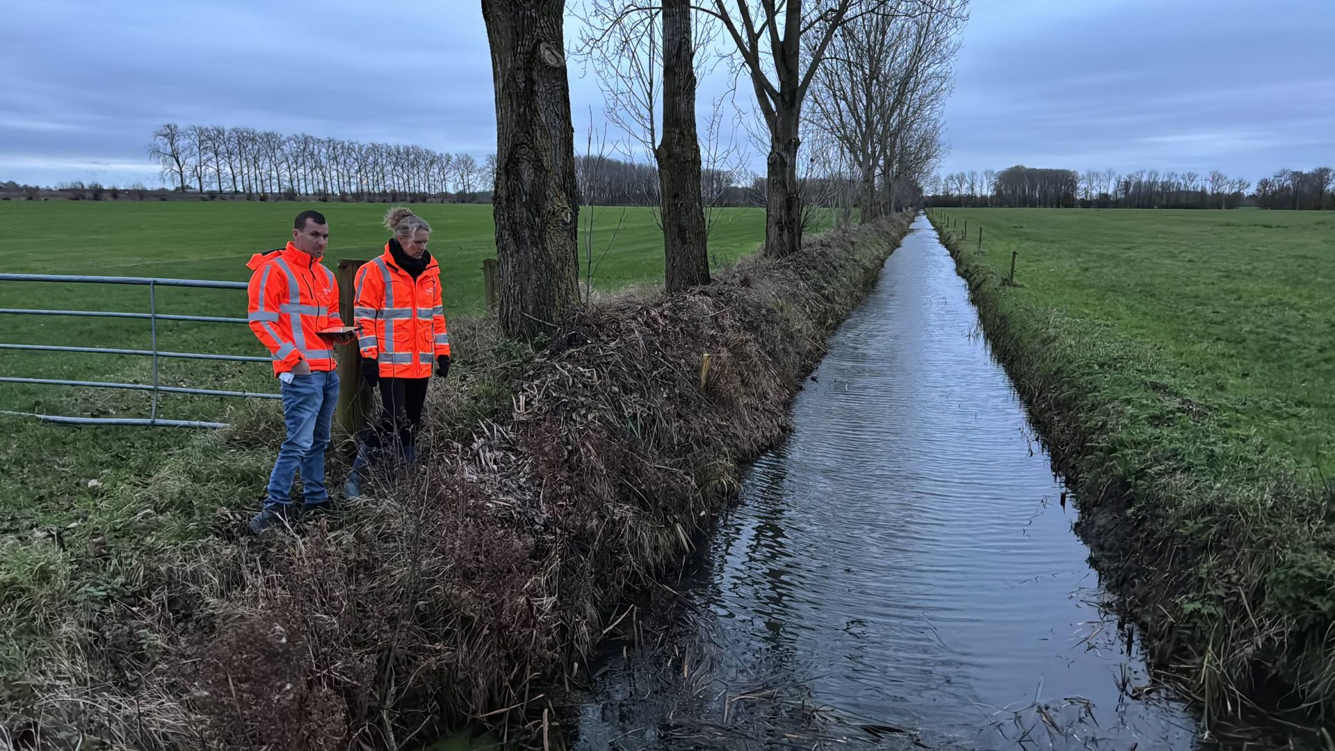 Waterschap waarschuwt: 'Maak sloten op tijd winterklaar'