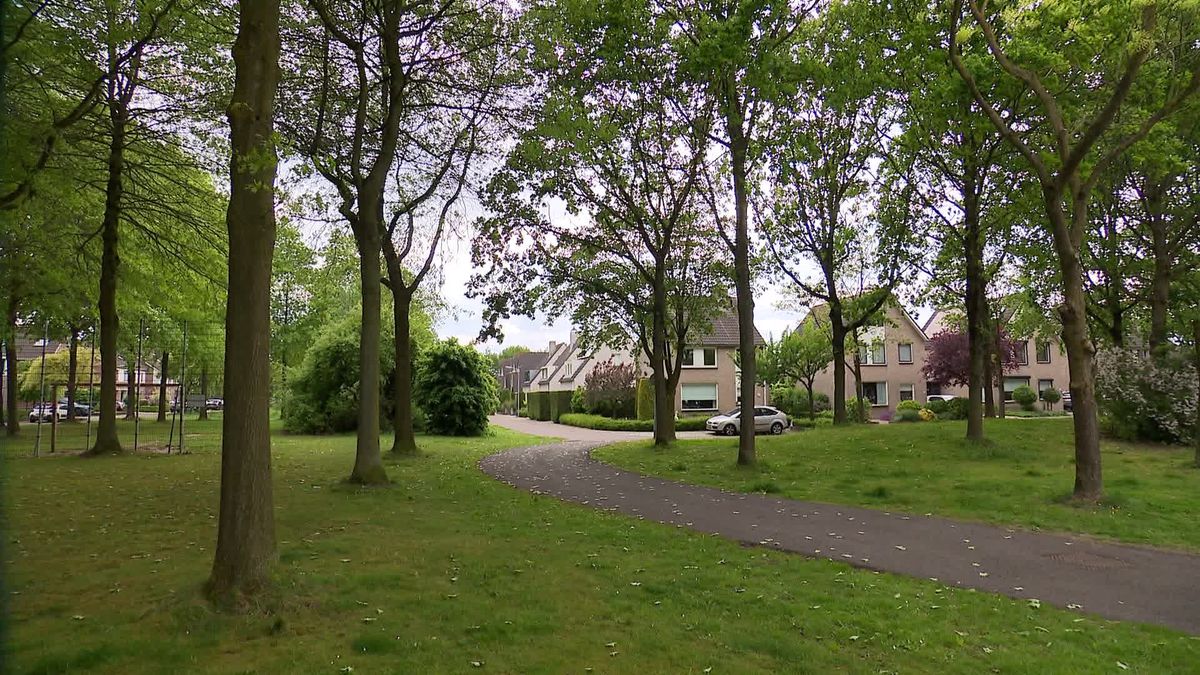 Jarenlang strijden voor Kloetinge en een basisplaats: Van Keulen en Dijkstra op rand van unieke prom