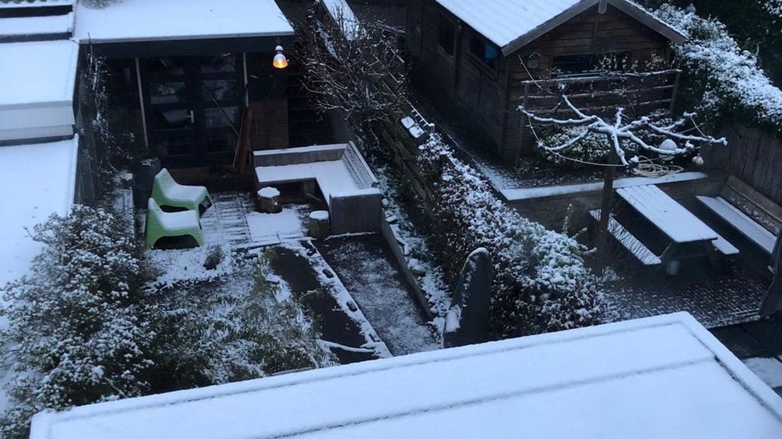 Sneeuw in de tuin in Arnhem-Noord.