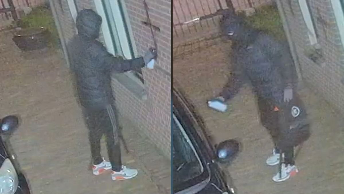 Vandaal bekladt auto en woning