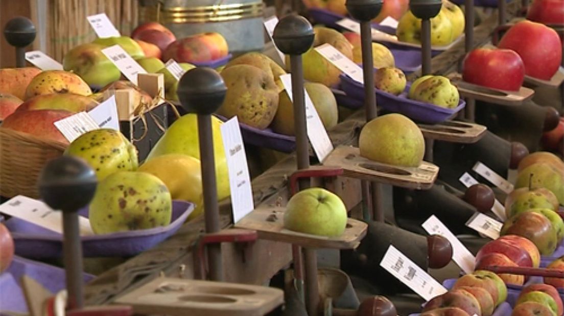 Fruitteelttentoonstelling met 1000 rassen