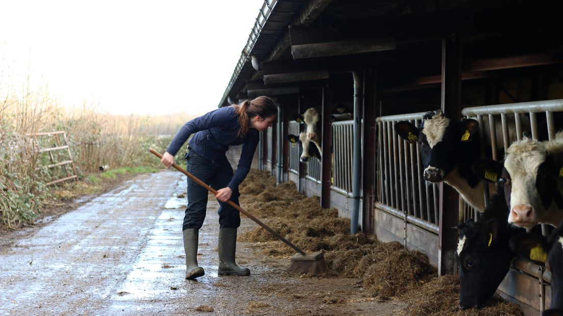 Annemiek Koekoek was twee jaar bezig met de financiering van haar boerderij (Rechten: Wiedse Veenstra/RTV Drenthe)