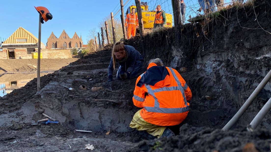 Archeologen verzamelen de botresten, waarna ze worden onderzocht.