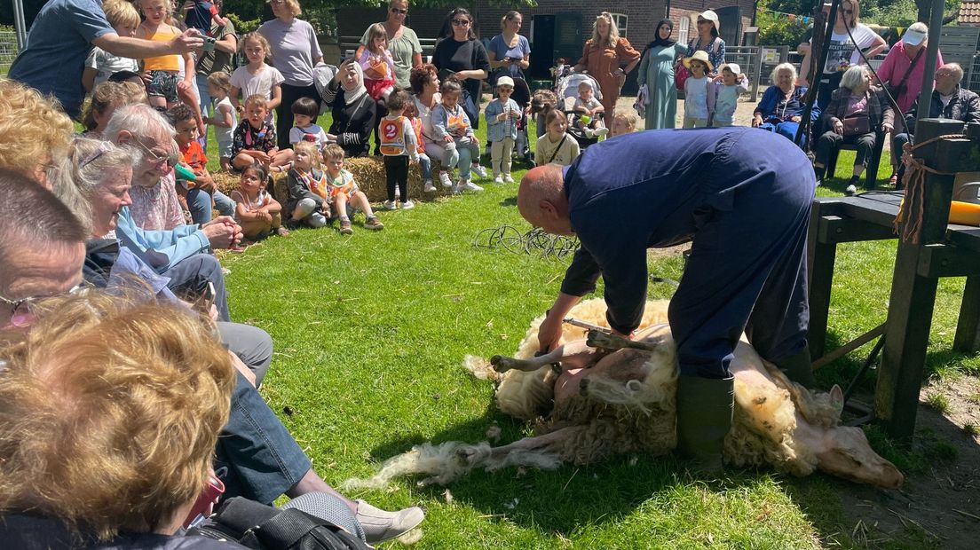 Jan van de Kooij in actie