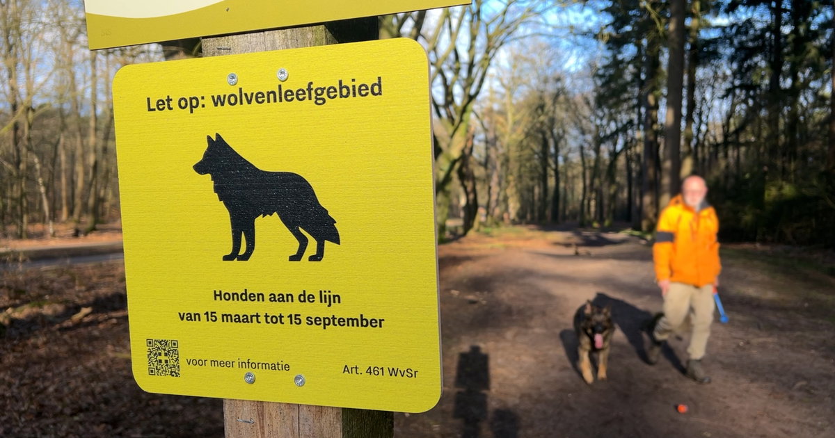Ook volgend jaar aanlijnplicht op Utrechtse Heuvelrug vanaf voorjaar