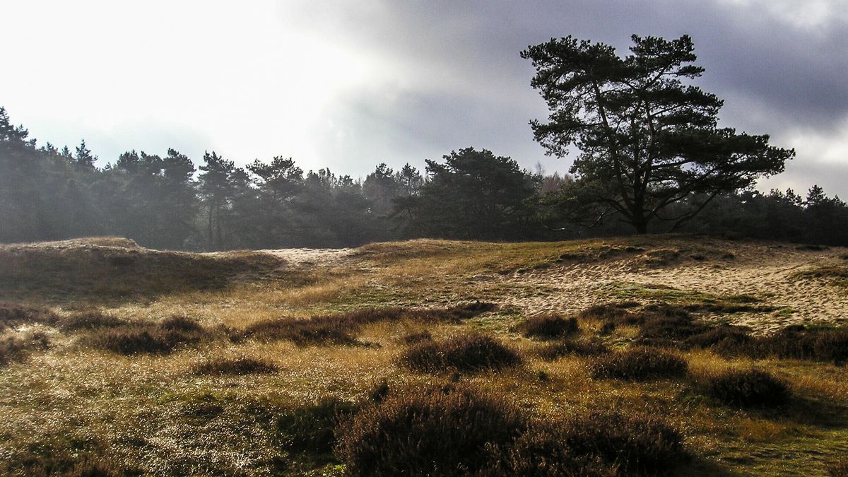 Zet de Drentse natuur in je agenda met deze tips