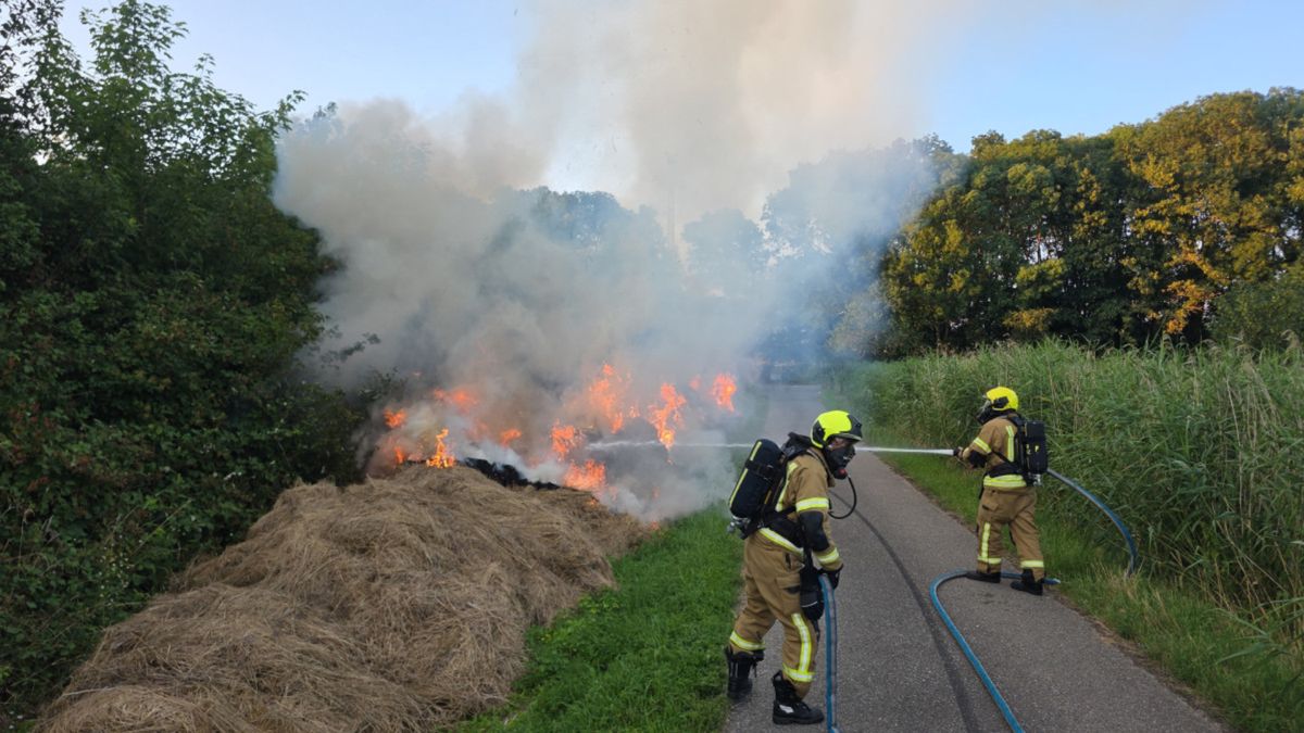 Gemaaid riet vat vlam in buitengebied Zwijndrecht en zorgt voor veel rook