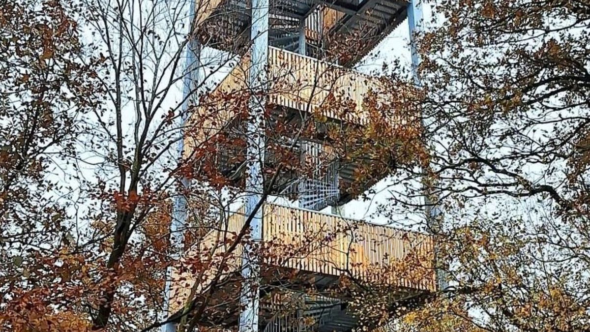 Bijna weer trappen klimmen in Loenense bossen