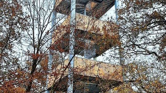 Bijna weer trappen klimmen in Loenense bossen