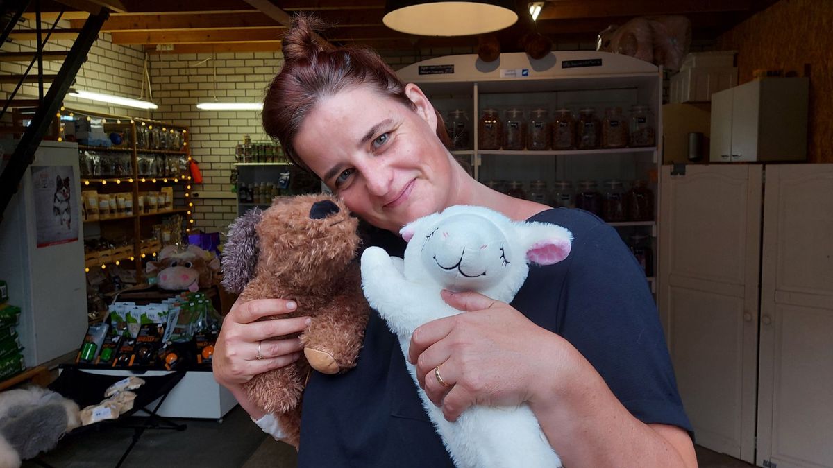 Dierenwinkel uit Zwiggelte doneert hondenknuffels voor dementiepatiënten: 'Ze worden er rustig van'