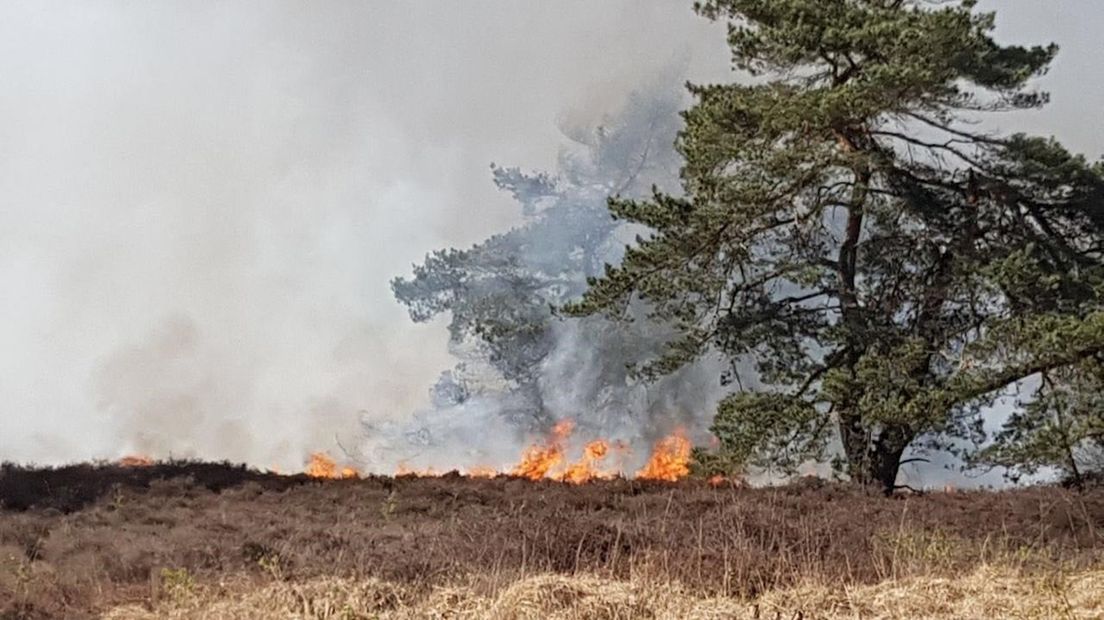 Deze week was er al een natuurbrand in Tubbergen