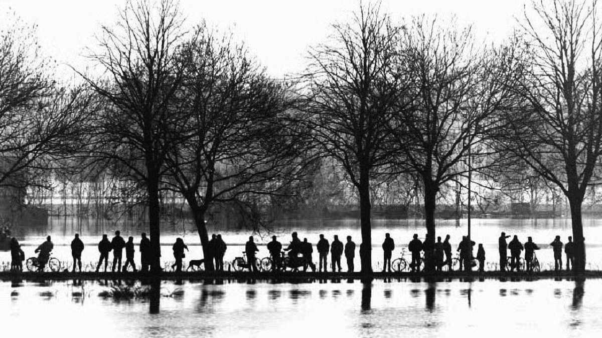 Zorgen over AI leiden tot offline halen van 100.000 historische stadsfoto’s