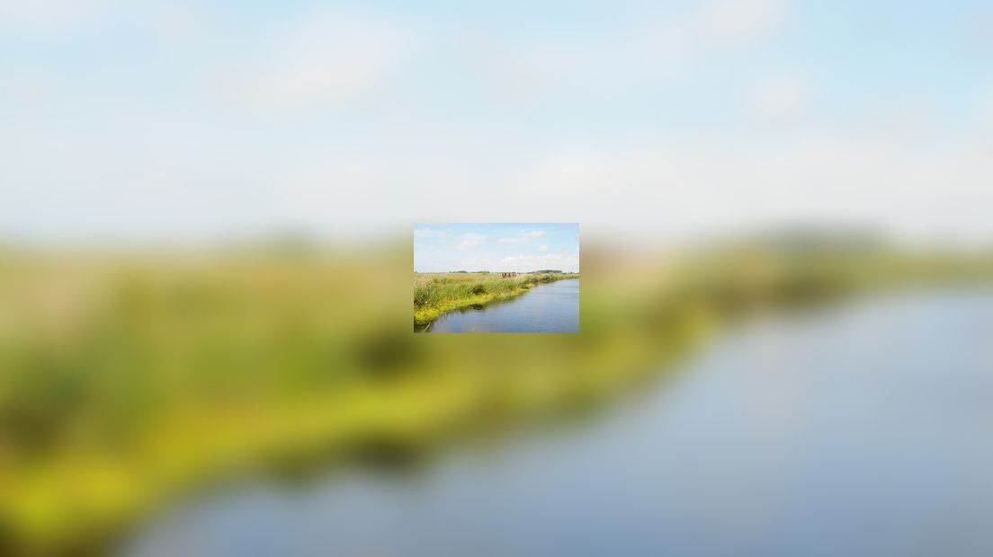 Natuergebiet De Houwiel yn Dantumadiel