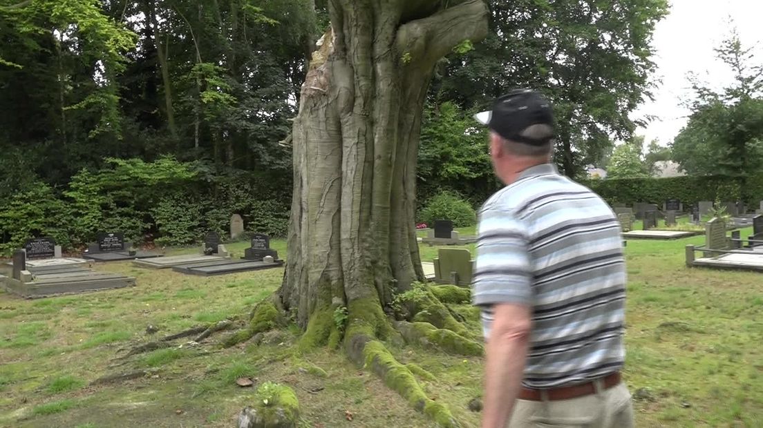 Storm Pia beschadigde graven op begraafplaats Grolloo