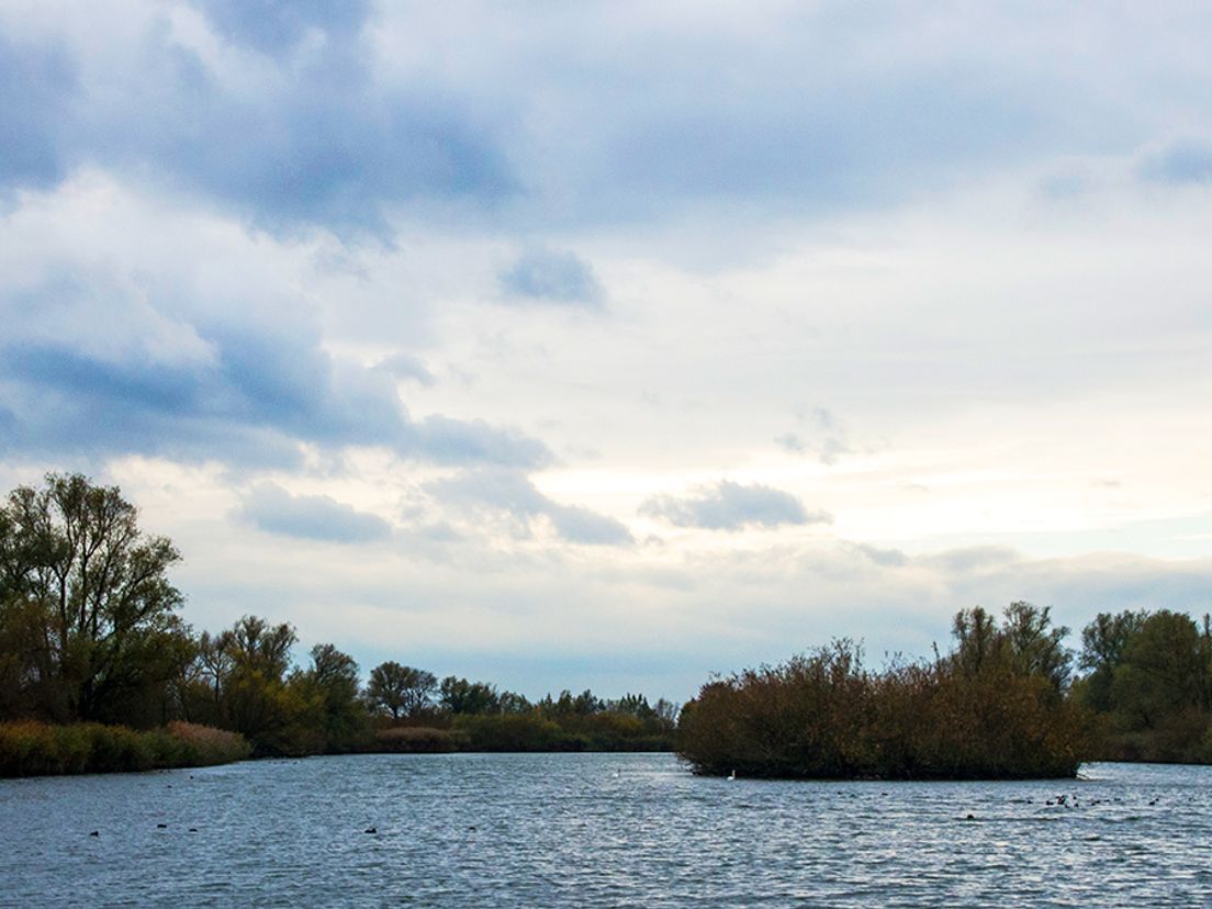 Biesbosch