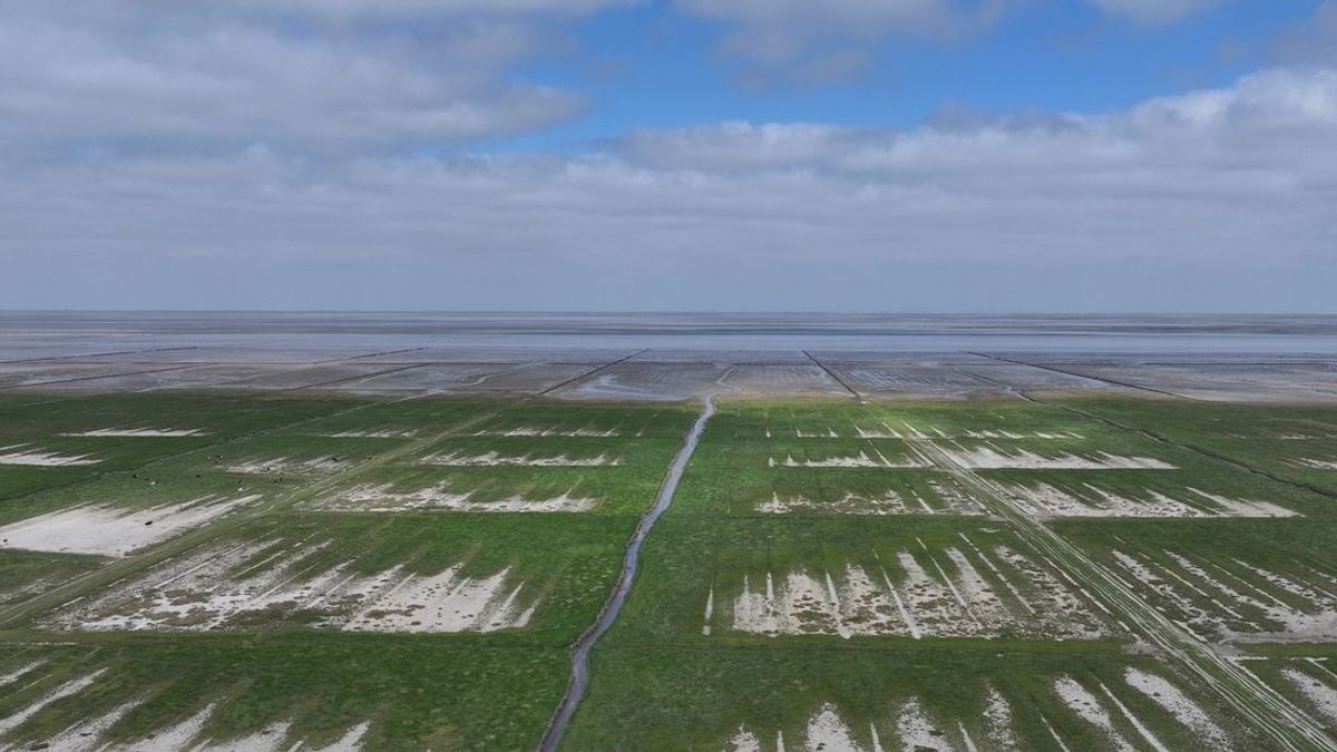 Noorden blijft zich verzetten tegen stroomkabel langs Schiermonnikoog