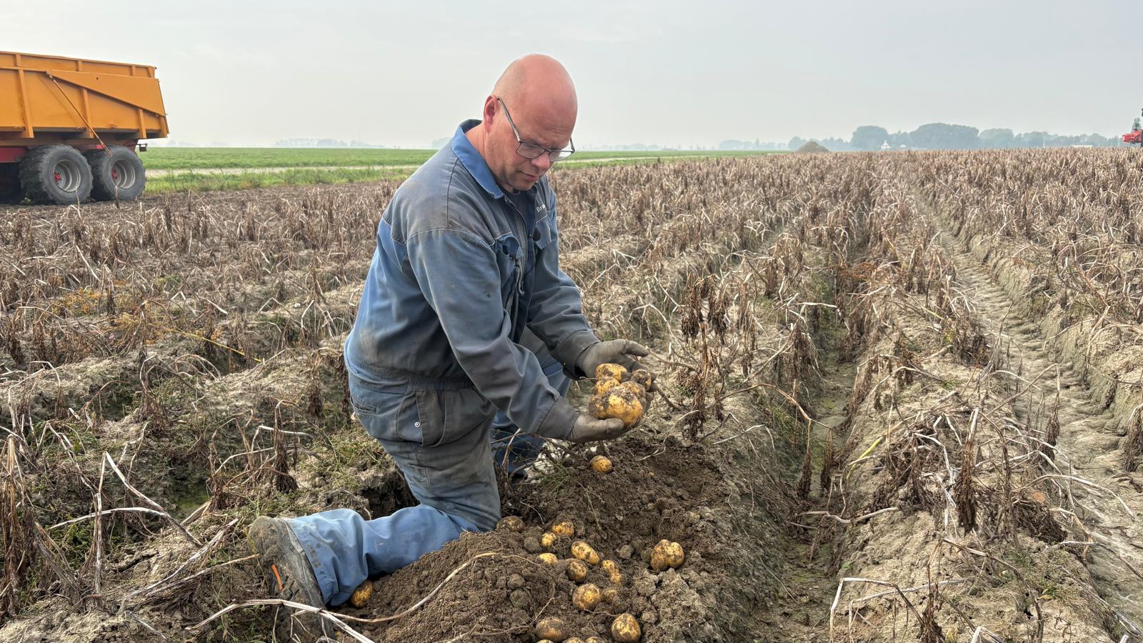 Akkerbouwer Bram Joostema tussen zijn aardappelen