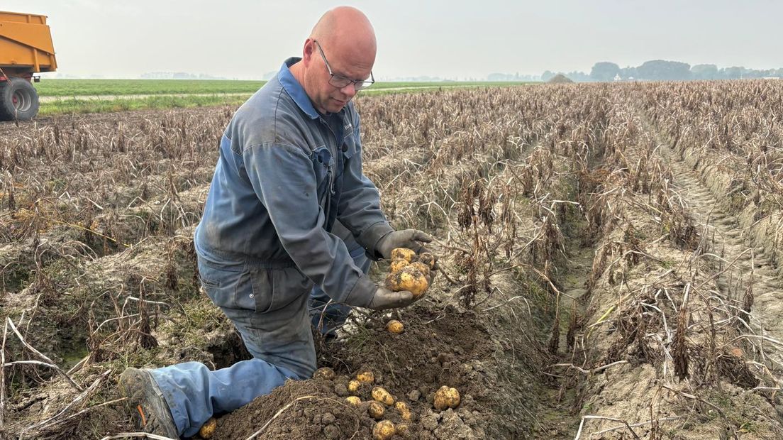 Akkerbouwer Bram Joostema tussen zijn aardappelen
