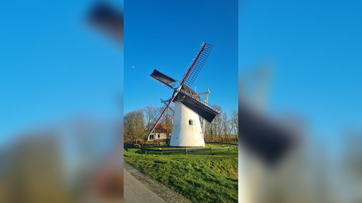 Nieuw leven voor de molen in Ellemeet: 'Was weinig animo van molenaars'