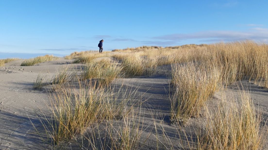 Duingebied op Schiermonnikoog