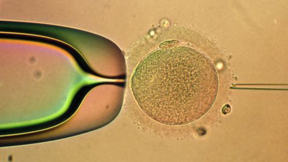 Minder zwangerschappen na ivf
