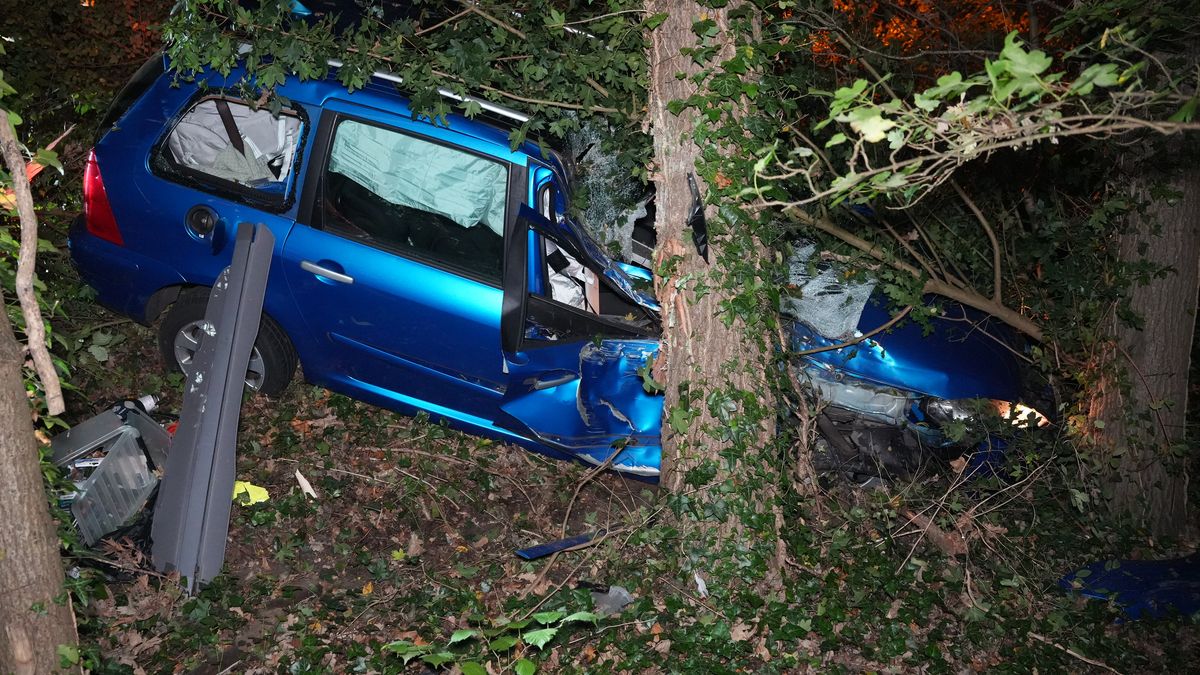 Automobilist onder invloed botst tegen boom bij Zwolle