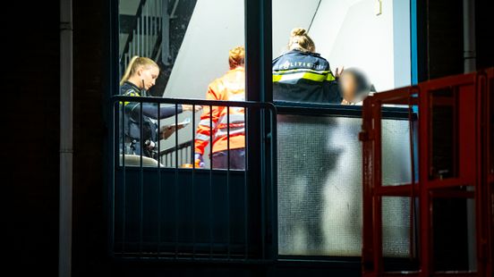 Spelen met een geweer: Rotterdammer (36) schiet zijn zwager per ongeluk dood en krijgt celstraf Home