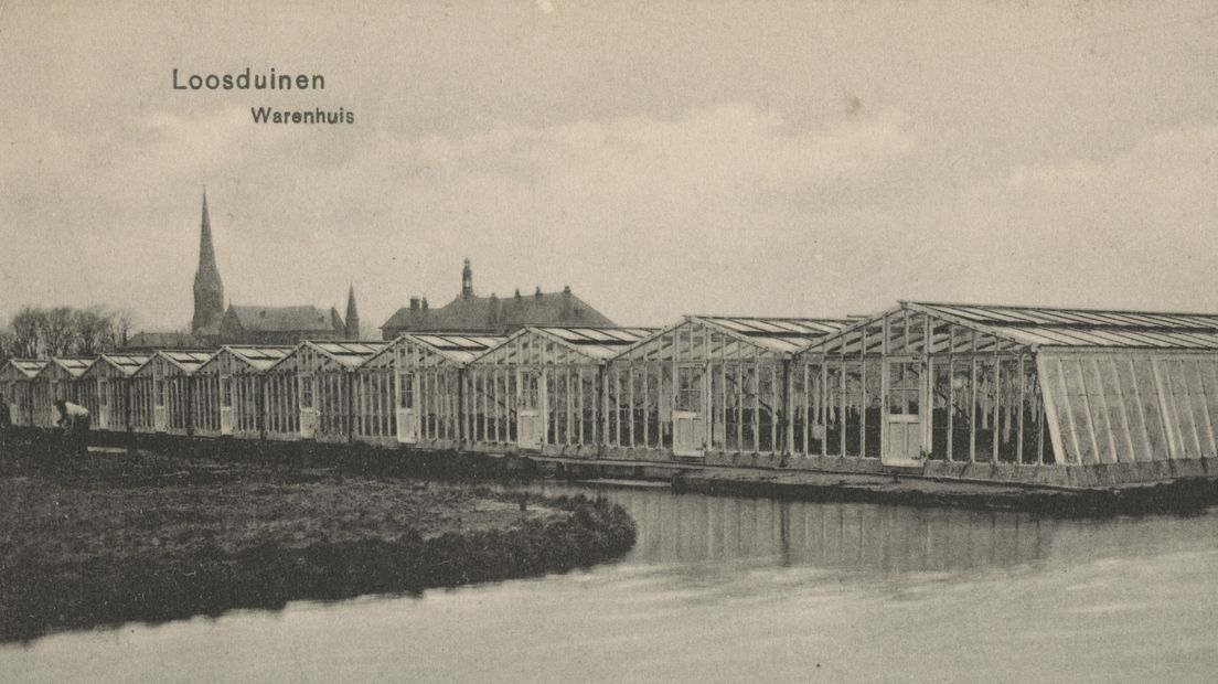 Kassen in Loosduinen rond 1913 (fotograaf onbekend) | Haags gemeentearchief