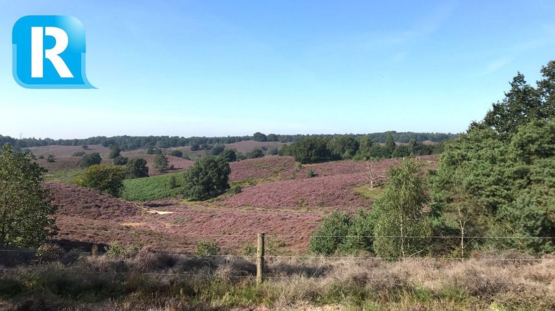 Rheden vraagt inwoners mee te denken over de toekomst van de Veluwezoom.