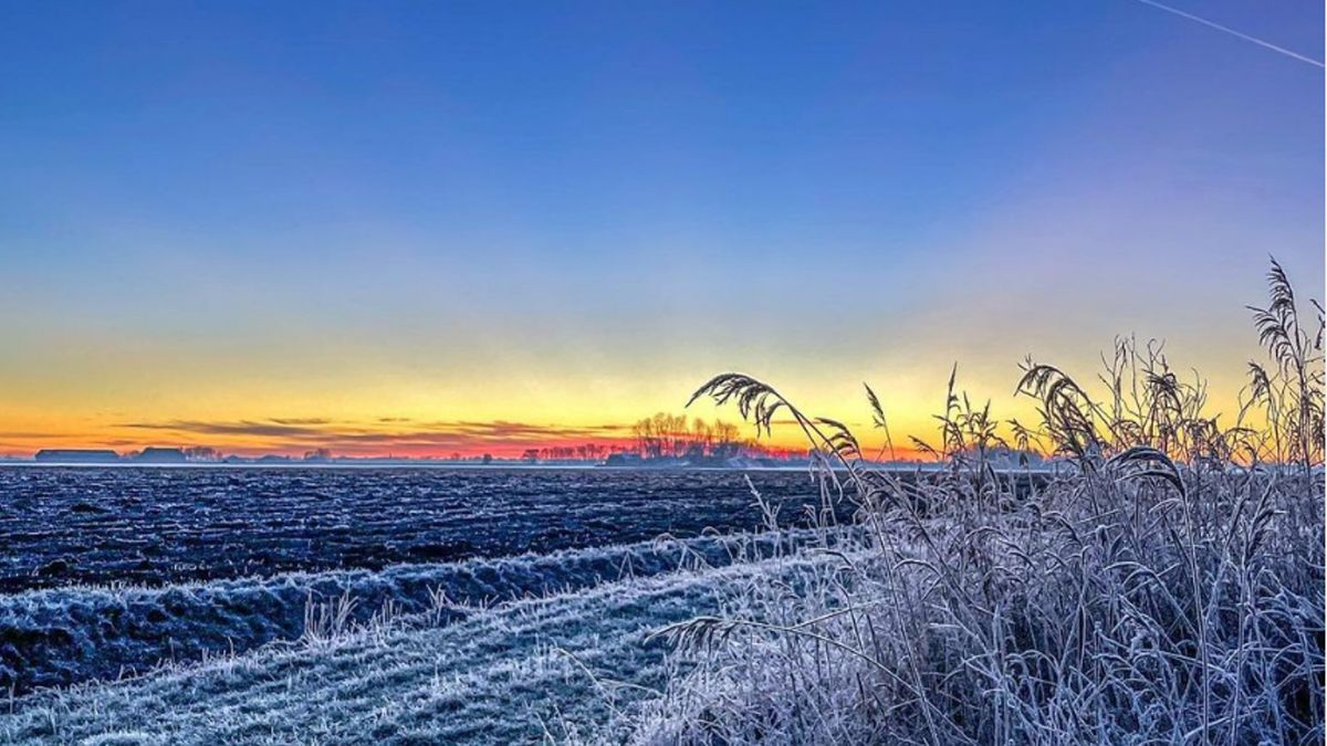In beeld: Groningen kleurt winters wit