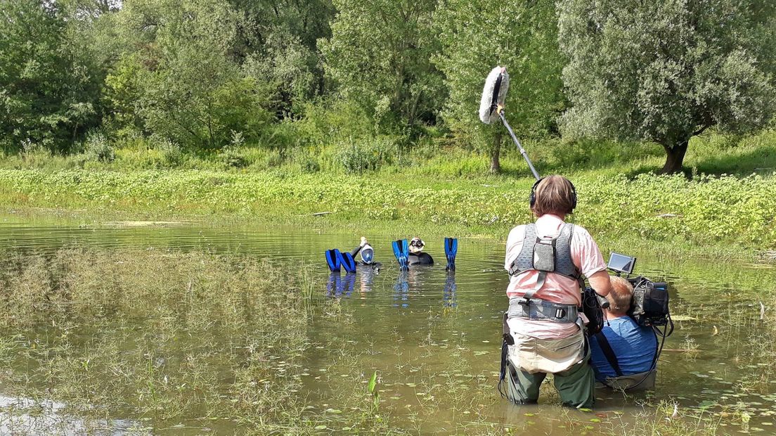 Het natuurplatform van Omroep Gelderland bestaat dit jaar 20 jaar. Op 5 januari 1999 werd de allereerste uitzending van het televisieprogramma BuitenGewoon uitgezonden op TV Gelderland. Het jubileum is het hele jaar reden voor feest op het multimediale platform.