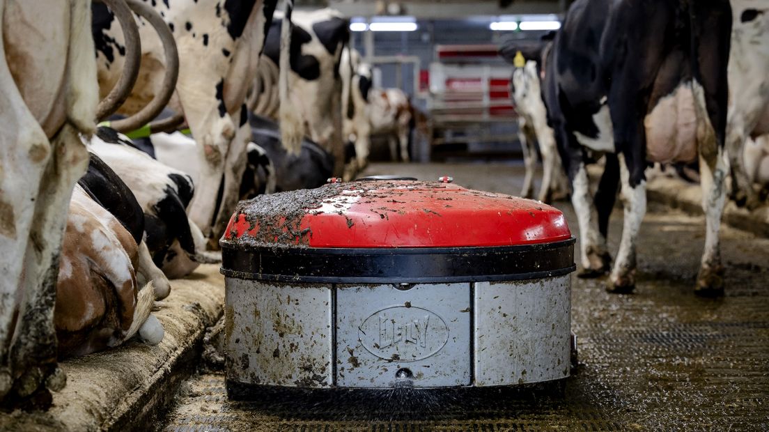 Een mestrobot scheidt vaste mest en urine