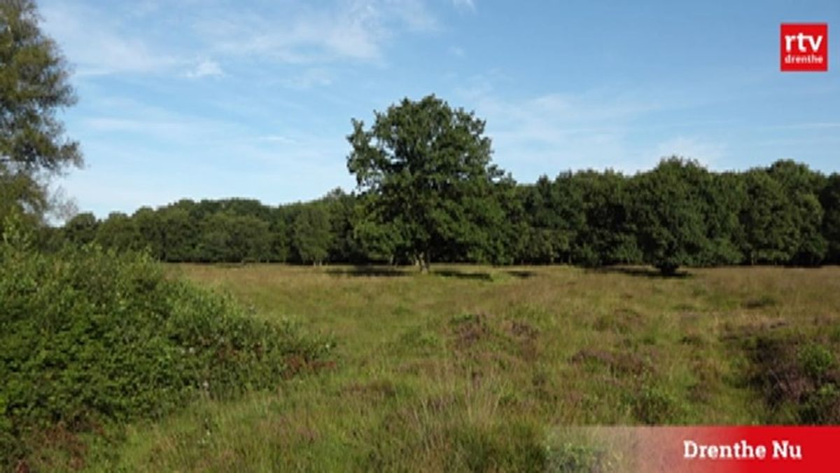 In Midlaren wordt gewerkt aan het Vijftig Bunder