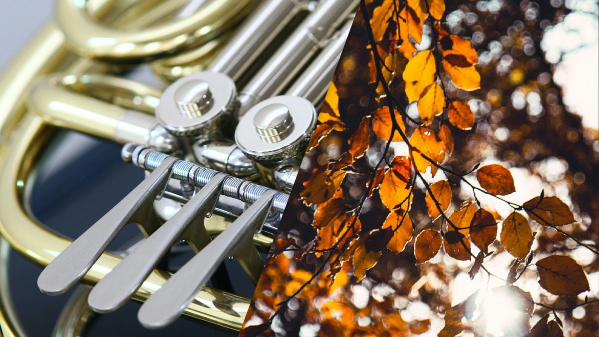 Eropuit dit weekend? Dit is er te doen in Fryslân