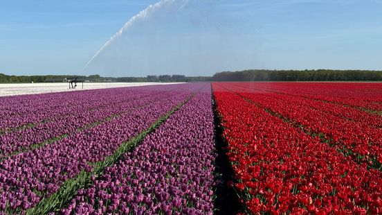 Meten=Weten wint Duurzame 100: 'Erkenning is veel waard' Meten=Weten wint Duurzame 100: 'Erkenning is veel waard'
