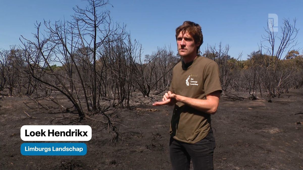 Oostrum blijft alert: nog steeds brandgevaar in natuurgebied Boshuizerbergen