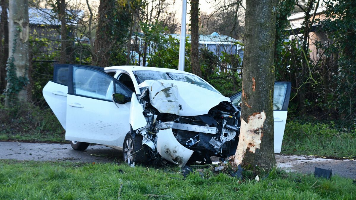 18-jarige man en 17-jarige jongen gewond na harde klap tegen boom in Hengstdijk